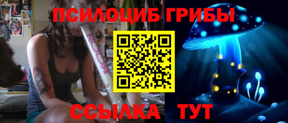 Самара  Псилоцибиновые грибы Cubensis  цена наркотик  Вход с VPN  Галлюциногенные грибы Psilocybe 